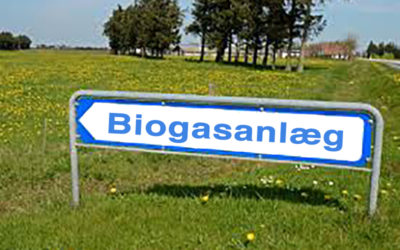 Biogasanlæg i Vammen?